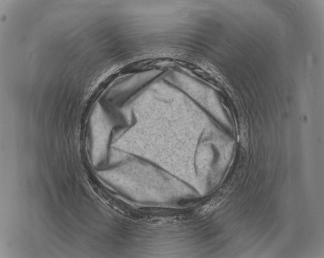 X0000073720434200608311823