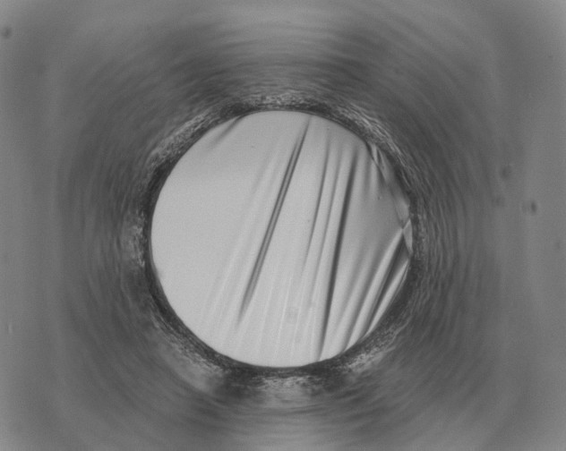 X0000073720450200608311824