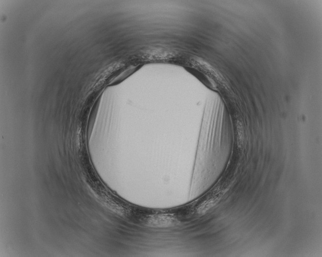 X0000073720451200608311824