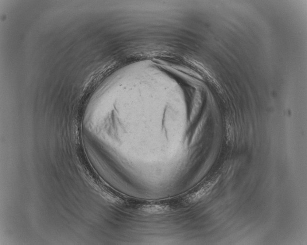 X0000073720453200608311824