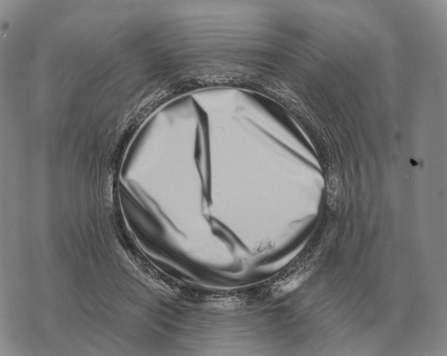 X0000073720454200608311824