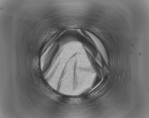 X0000073720458200608311824