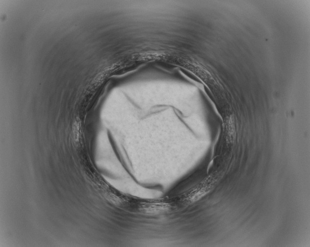 X0000073720463200608311824