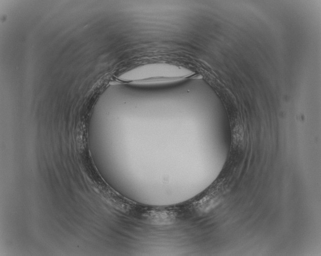 X0000073720464200608311824
