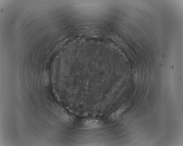 X0000073720471200608311824