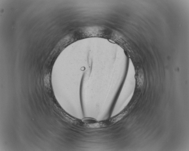X0000073720473200608311824