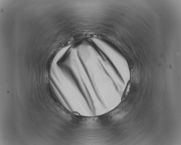 X0000073720474200608311824