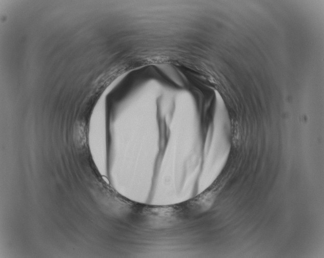 X0000073720478200608311824