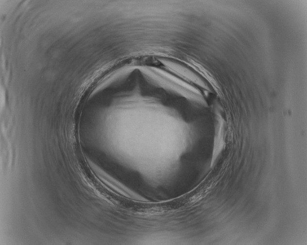 X0000073720485200608311823