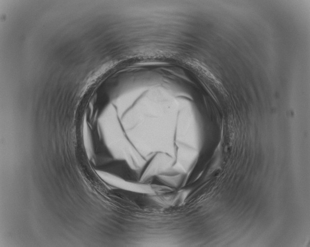 X0000073720488200608311823