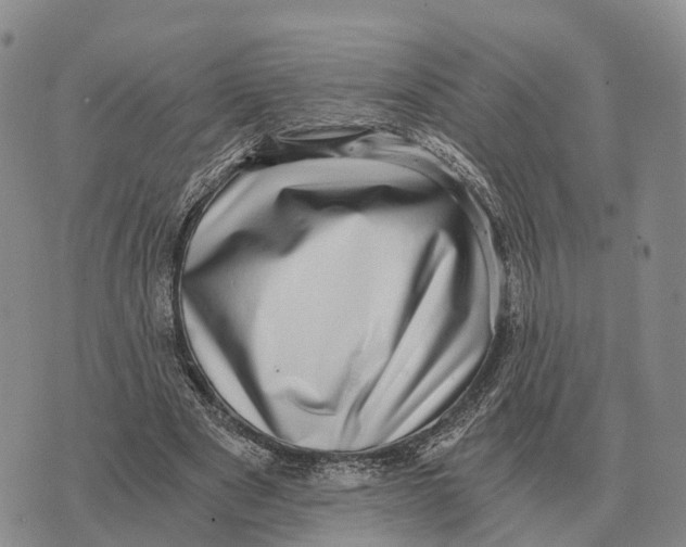 X0000073720489200608311823