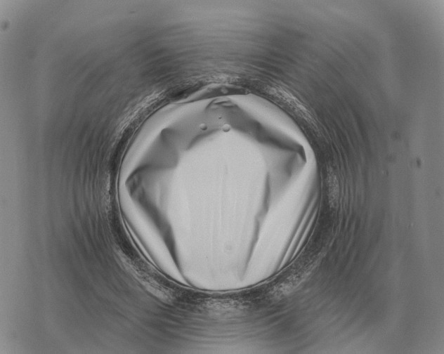 X0000073720490200608311823