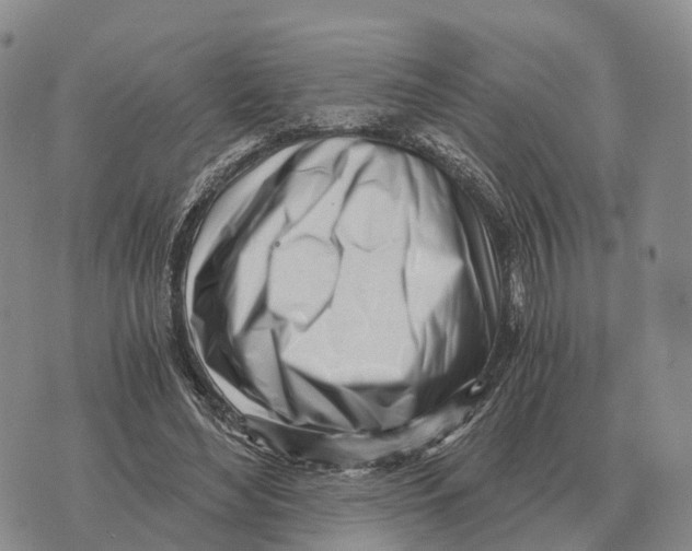 X0000073720492200608311823
