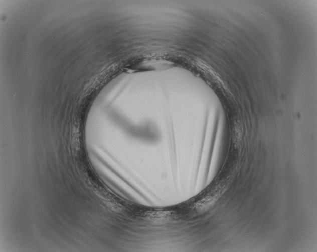 X0000073720497200608311823