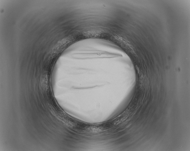 X0000073720498200608311823