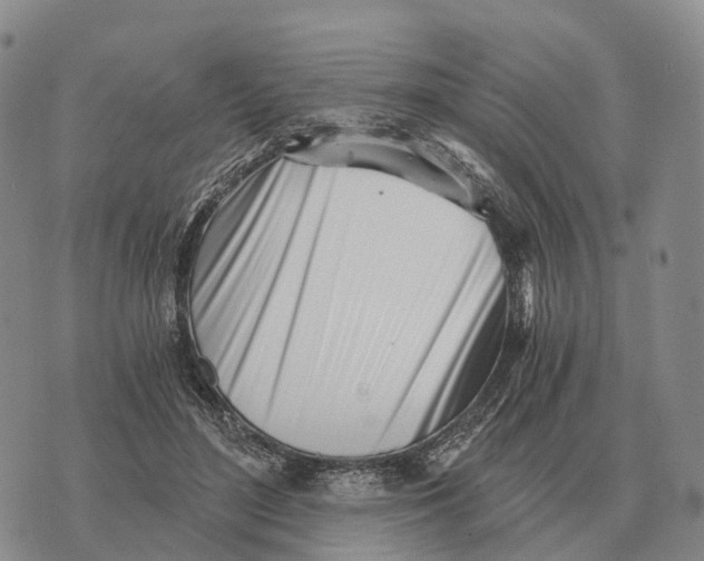 X0000073720500200608311823