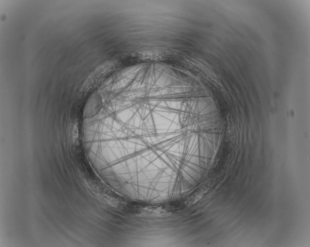 X0000073720502200608311823
