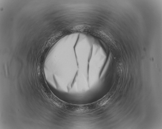 X0000073720504200608311823