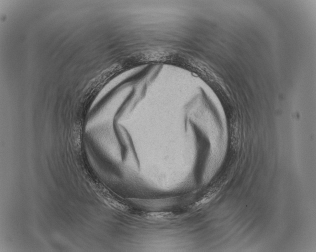 X0000073720505200608311823