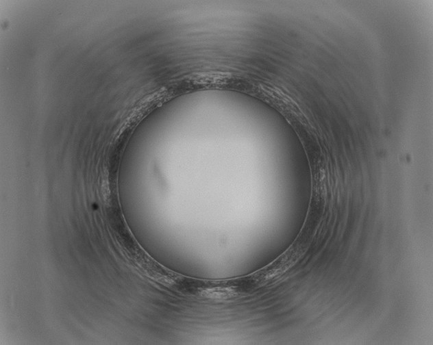 X0000073720508200608311823