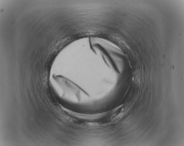 X0000073720509200608311823