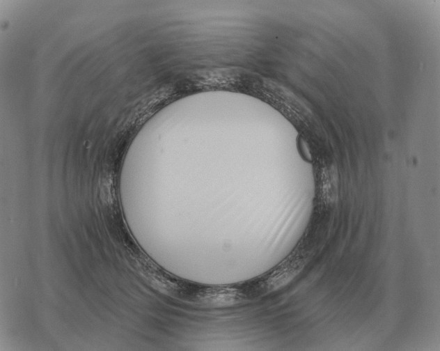 X0000073720514200608311823
