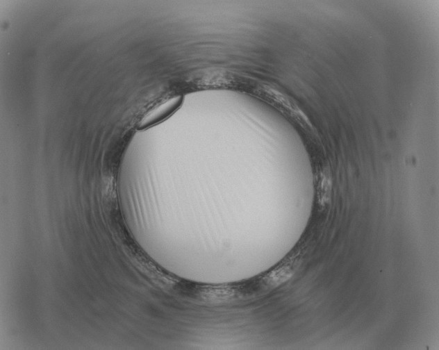 X0000073720521200608311823