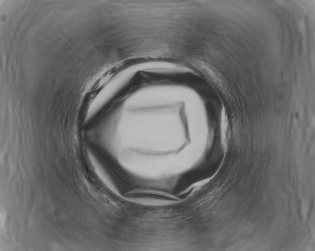 X0000073720532200608311822