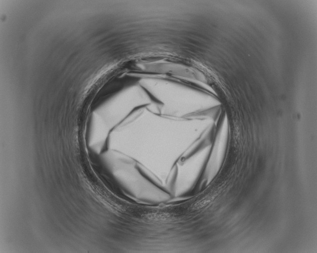 X0000073720535200608311822