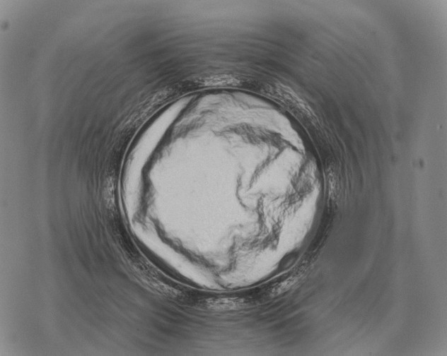 X0000073720549200608311822