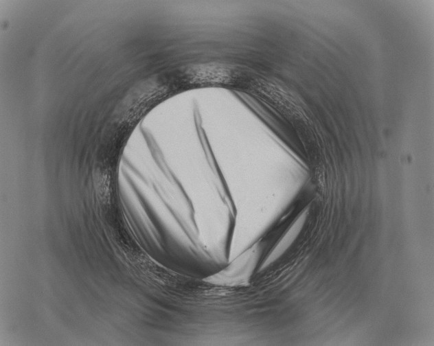 X0000073720551200608311822
