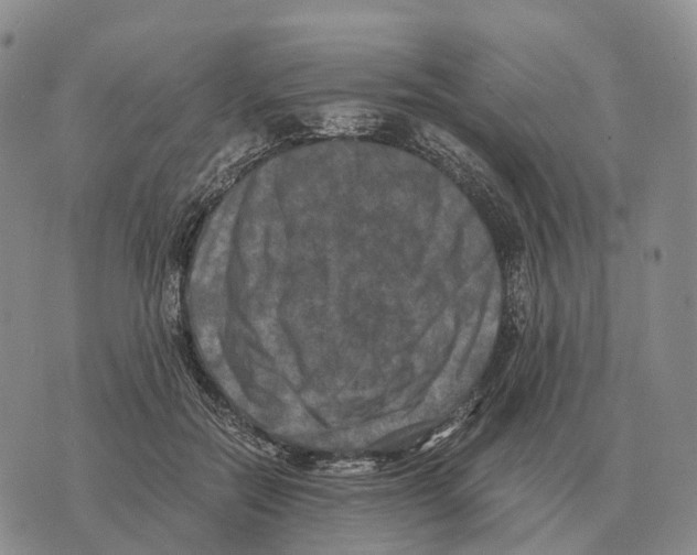X0000073720554200608311822