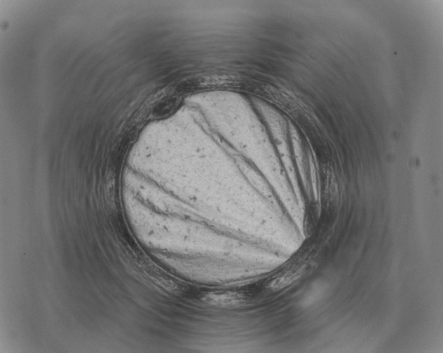 X0000073720557200608311822