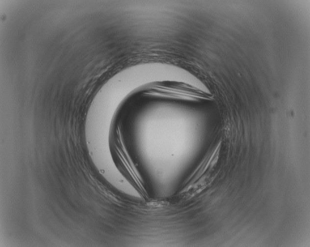 X0000073720566200608311822