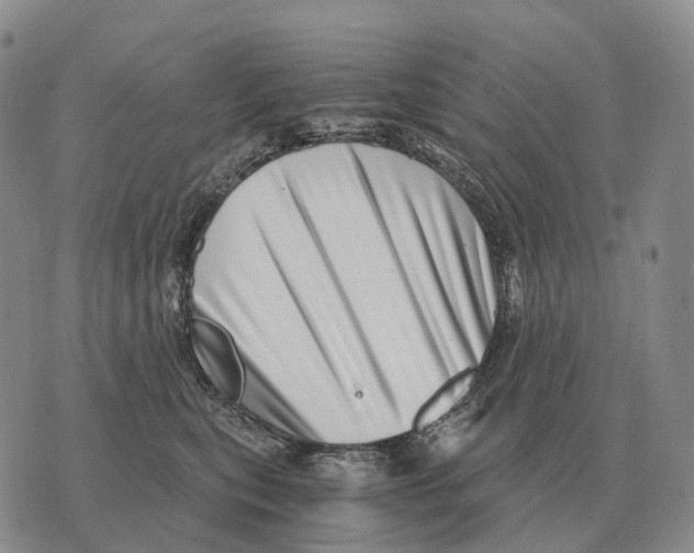 X0000073720567200608311822