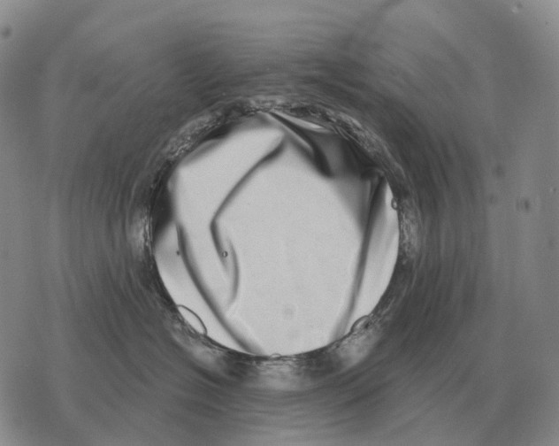 X0000073720574200608311823