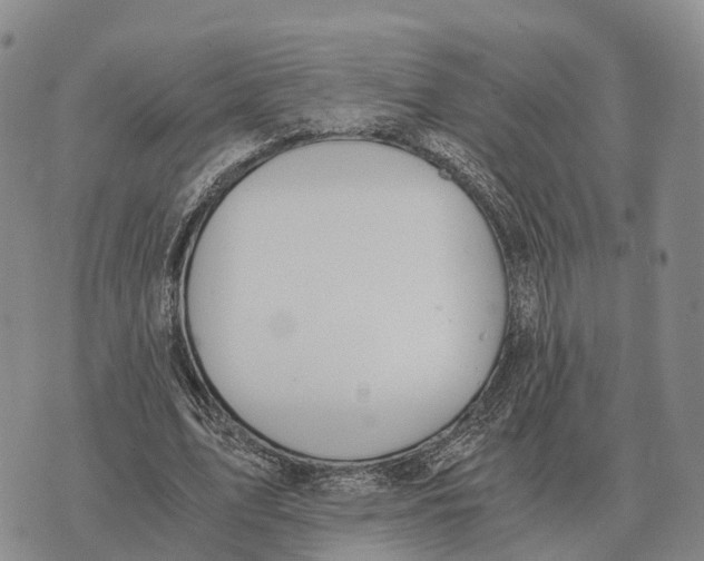X0000073720583200608311822
