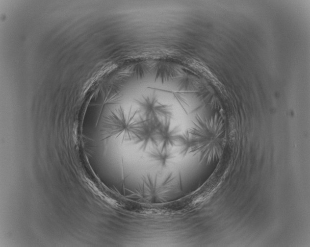 X0000073720585200608311822