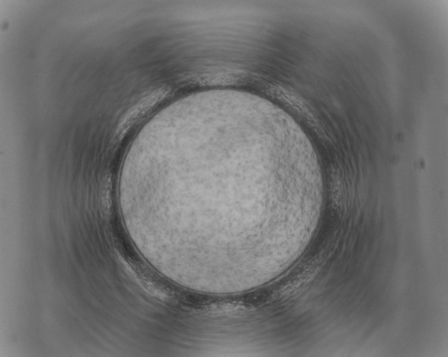 X0000073720586200608311822