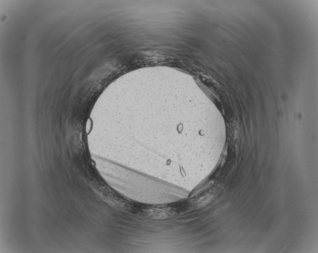 X0000073720615200608311821