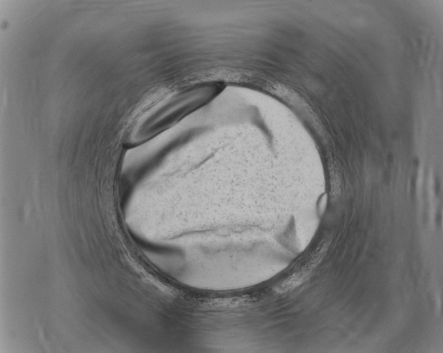 X0000073720625200608311820