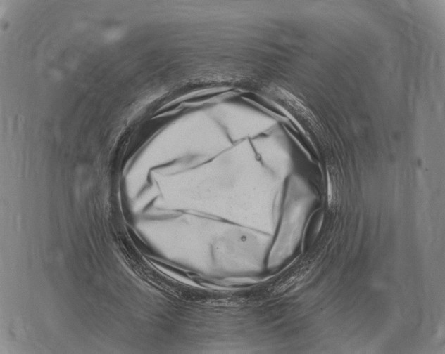 X0000073720627200608311820