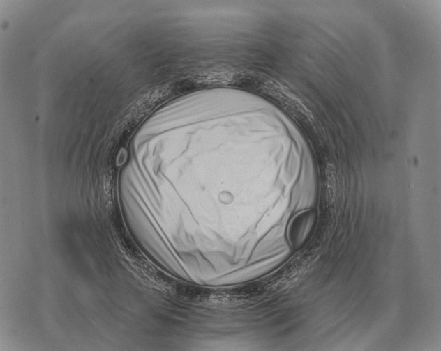 X0000073720641200608311820