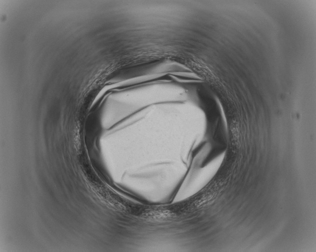 X0000073720642200608311820