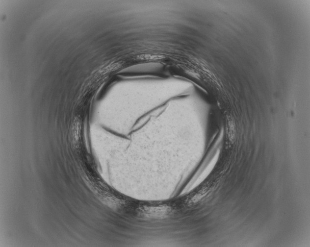 X0000073720645200608311821