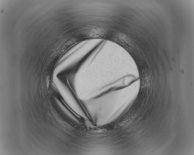 X0000073720646200608311821
