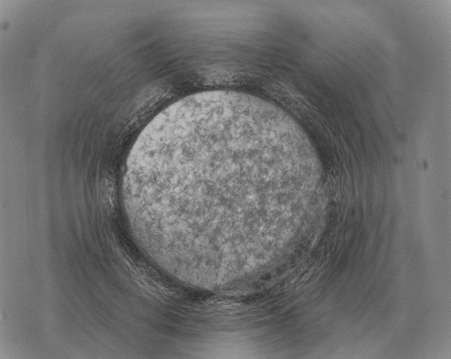 X0000073720648200608311821