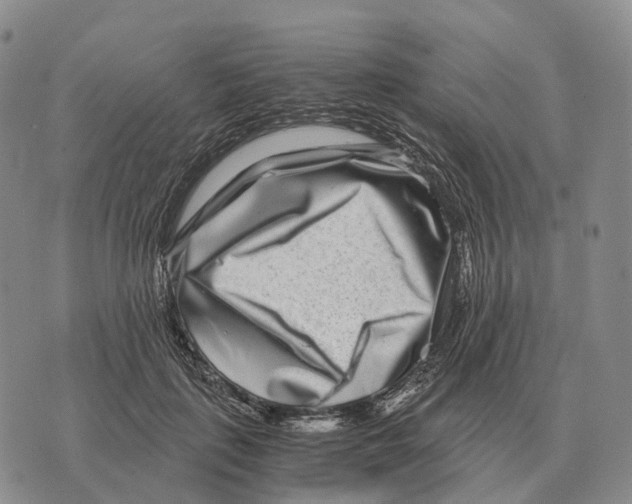 X0000073720651200608311821