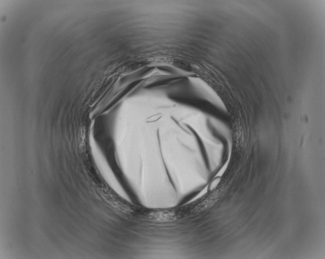 X0000073720660200608311821