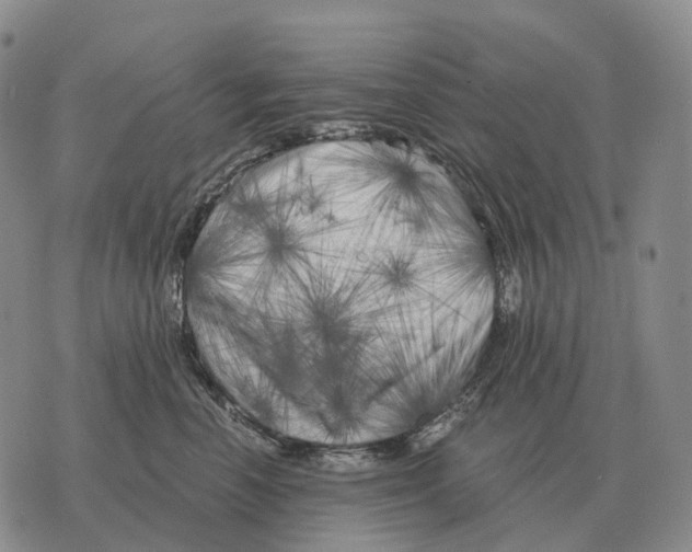X0000073720666200608311821